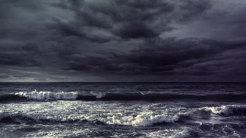 De Férias com o Ex Brasil Bild 2