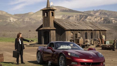 Wedding Season Bild 2