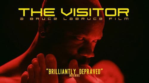 The Visitor Bild 8