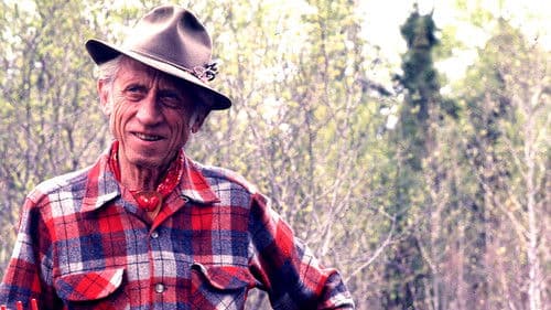 Bear Video Theater Bild 1