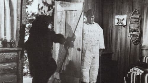 Wild, Wild Winter Bild 1