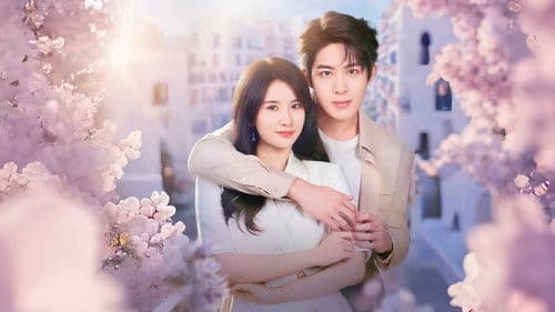 此生皆欢喜 Bild 2