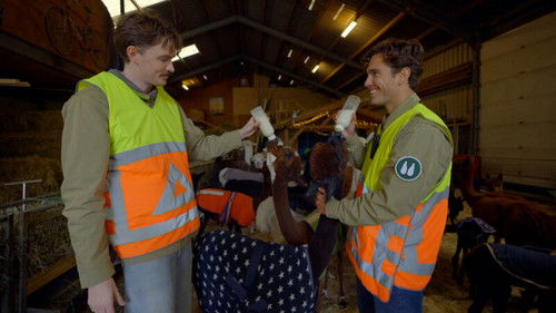 Aanpoten met Floris Bild 2