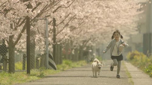 駅までの道をおしえて Bild 1