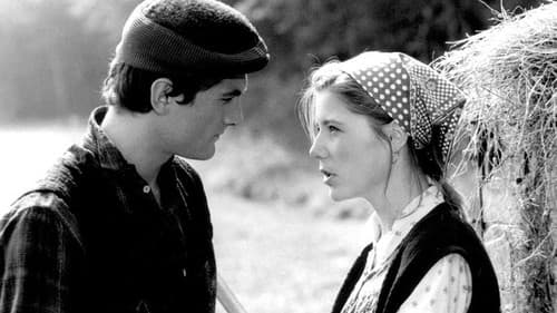 Dirigenti i muzikasi Bild 1