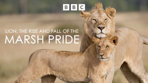 Lion: The Rise and Fall of the Marsh Pride Bild 3