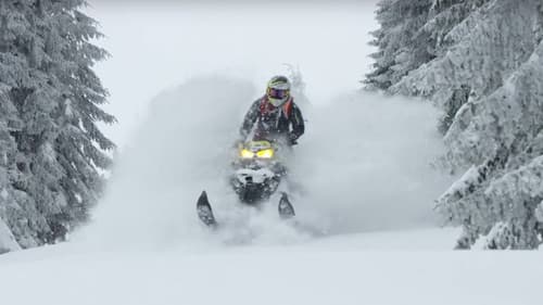 Exploring The Snow - The Final Volume Bild 1