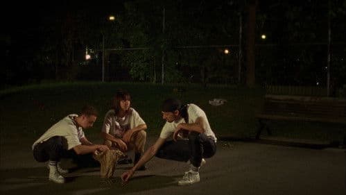 Excursion nocturne Bild 3