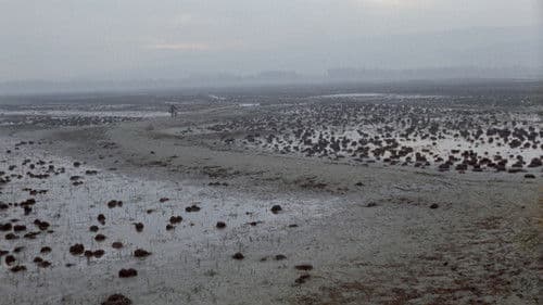 Доручак са ђаволом Bild 6