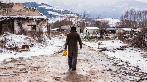 Il terremoto di Vanja Bild 2