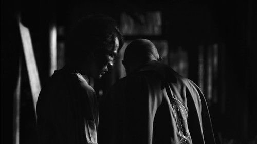 Así en la Tierra Bild 2