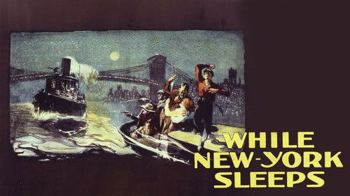 While New York Sleeps Bild 3