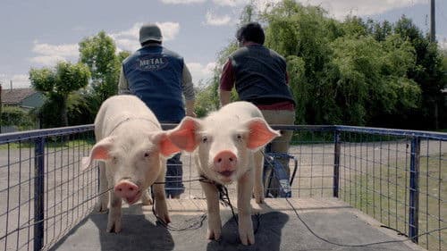 Glorreiche Verlierer Bild 5