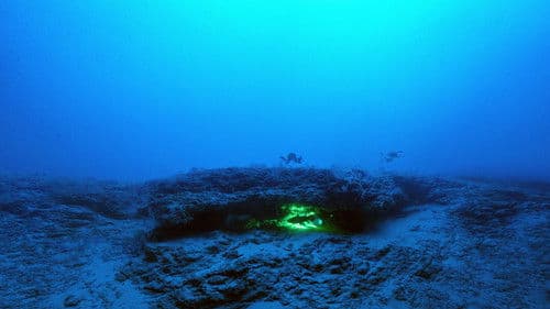 Gombessa – Urtier in Untiefen Bild 2