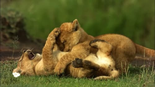 Creative Killers Bild 5