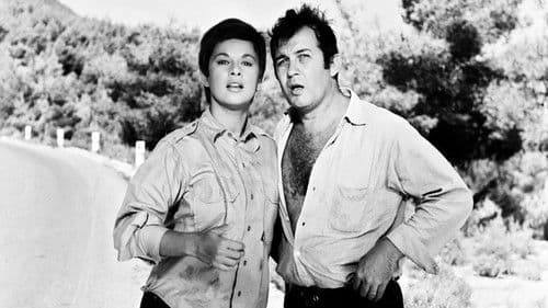 Η Αρχόντισσα κι ο Αλήτης Bild 1