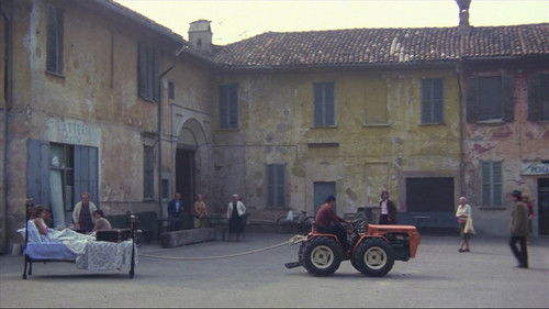 Der gezähmte Widerspenstige Bild 3