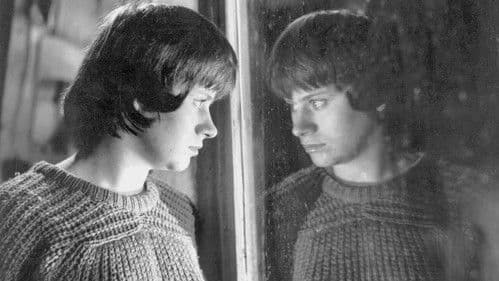 Bitterer Honig Bild 3