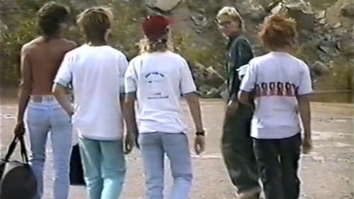 The Boy's Night Out Bild 3