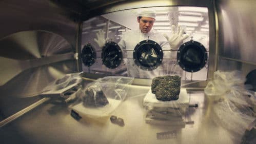 Million Dollar Moon Rock Heist Bild 1