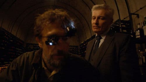 Naktinis seansas Bild 5