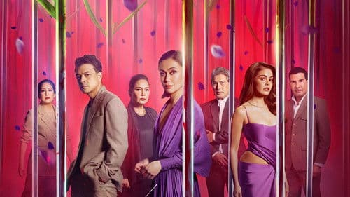 Lavender Fields Bild 1