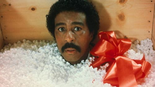 Der Spielgefährte Bild 8