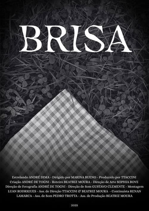 Brisa