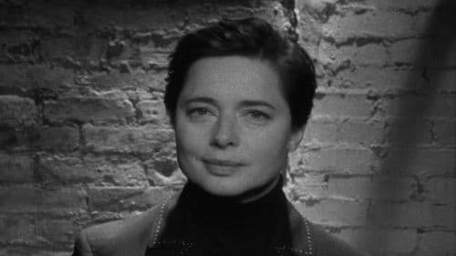 My Dad Is 100 Years Old Bild 3