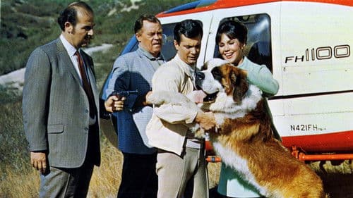 My Dog, the Thief Bild 2