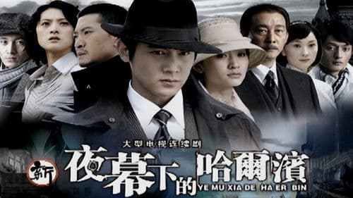 夜幕下的哈尔滨 Bild 2