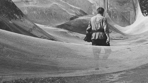 Birželis, vasaros pradžia Bild 1