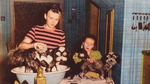 Blondie's Secret Bild 1