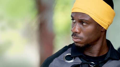 Der Tag wird kommen Bild 5