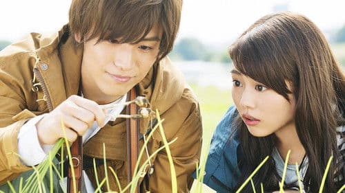 植物図鑑 運命の恋、ひろいました Bild 1