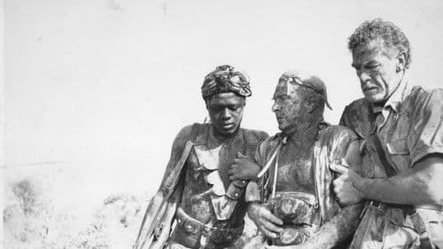 Die Wurzeln des Himmels Bild 8