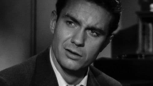 Herbststürme Bild 6