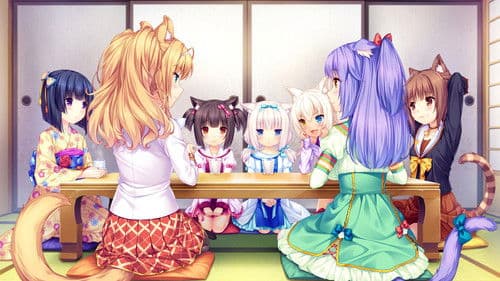 NekoparA Bild 2