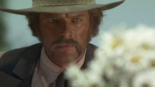 Ein Halleluja für Camposanto Bild 4