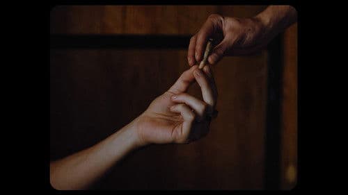 Günst ul vándrafoo (Ráfagas de vida salvaje) Bild 3