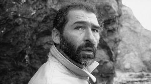 Harry : Portrait d’un détective privé Bild 7