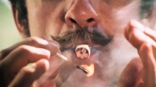 Bokhandlaren som slutade bada Bild 1