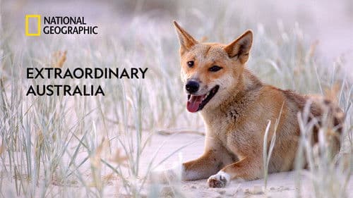 Extraordinary Australia Bild 1