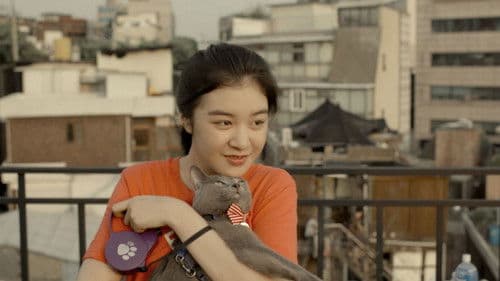 나만 없어 고양이 Bild 1