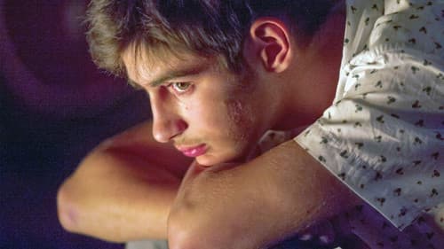 Ein unvergesslicher Sommer Bild 2