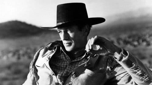 In die Falle gelockt Bild 6