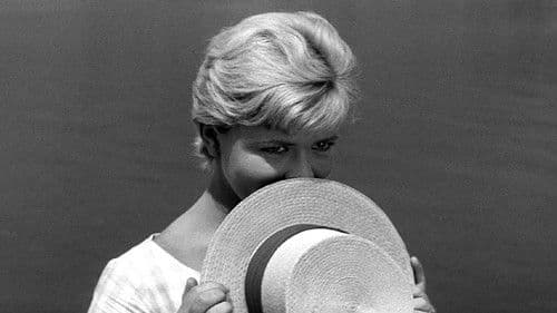 Лето је криво за све Bild 1