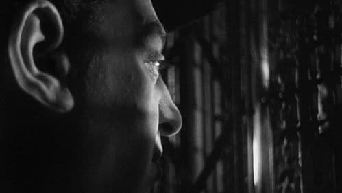 El vampiro negro Bild 2