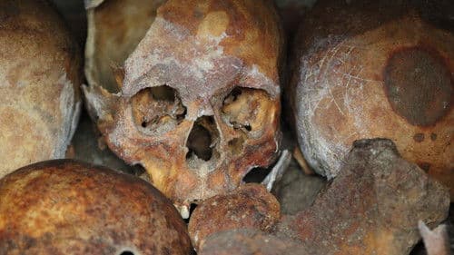 The Search for Alfred the Great Bild 3