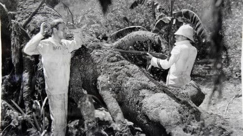 Hell's Island Bild 1